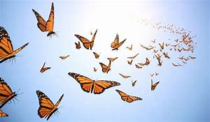 Stories from the magic TEDDY BEAR COLLECTION